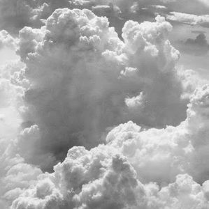 Meet your Posher, Daniela